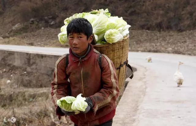 心寒!哥哥嫂子每周都回來蹭吃蹭喝,媽媽生病後卻一次都沒有回來