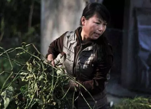 大姐心安嗎,你是媽媽最牽掛的女兒,卻連她最後一程都沒有送她