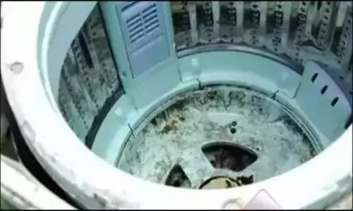洗衣機用久了,洗出來的衣服越洗越髒?教你一招,讓你把洗衣機裡「隱藏的污垢」洗乾淨!