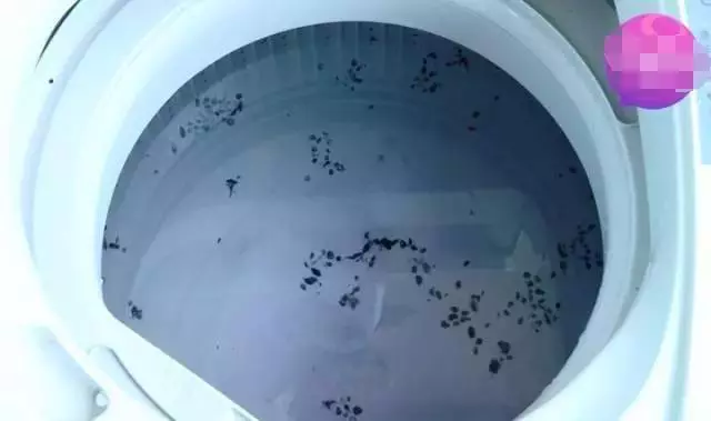洗衣機用久了,洗出來的衣服越洗越髒?教你一招,讓你把洗衣機裡「隱藏的污垢」洗乾淨!