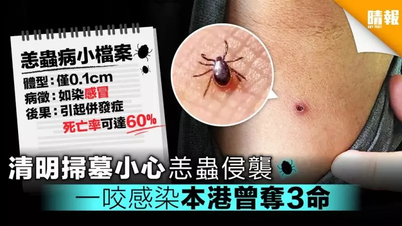 清明掃墓小心恙蟲侵襲 一咬感染本港曾奪3命