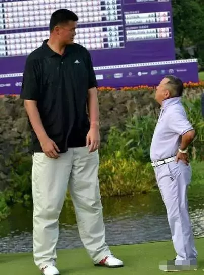 姚明與13個明星合影照片，最後一張笑噴你！