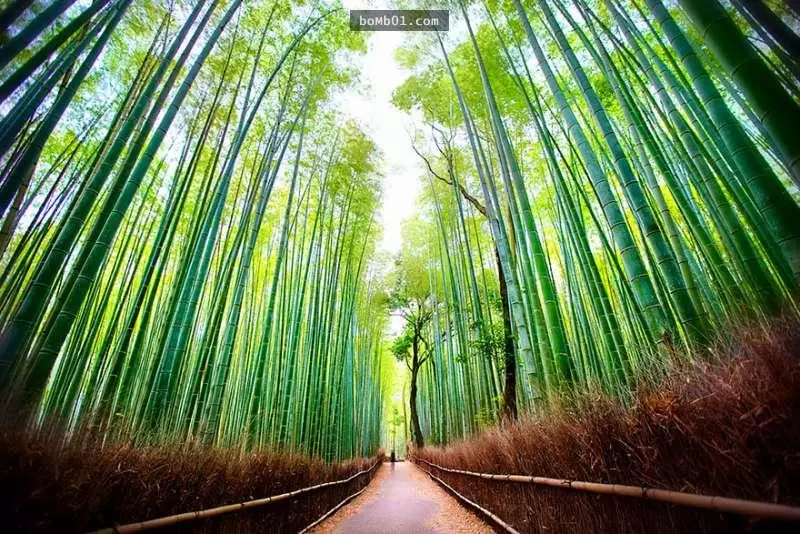 40張對比圖揭秘「理想和現實差距有多大」的旅遊景點對比圖。