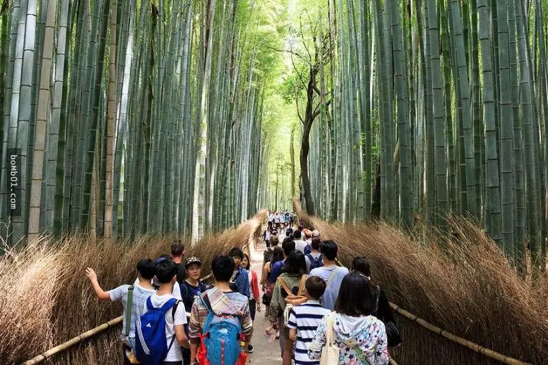 40張對比圖揭秘「理想和現實差距有多大」的旅遊景點對比圖。