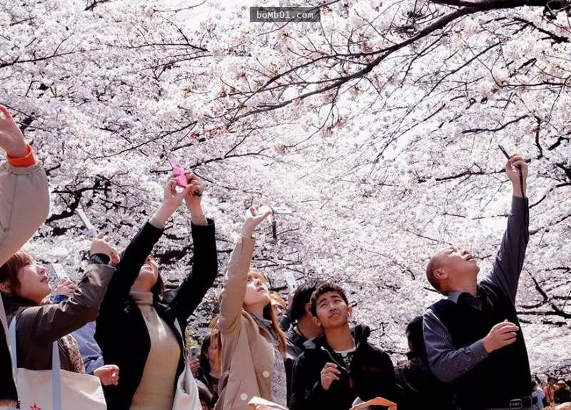 40張對比圖揭秘「理想和現實差距有多大」的旅遊景點對比圖。