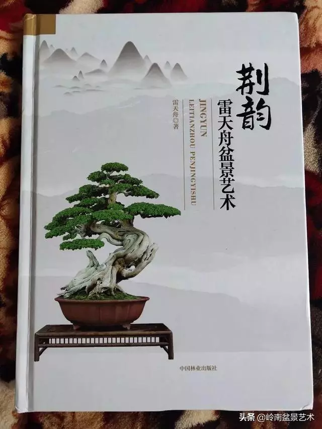 真牛!盆景大師把鄉野最平常的雜木玩到極致!