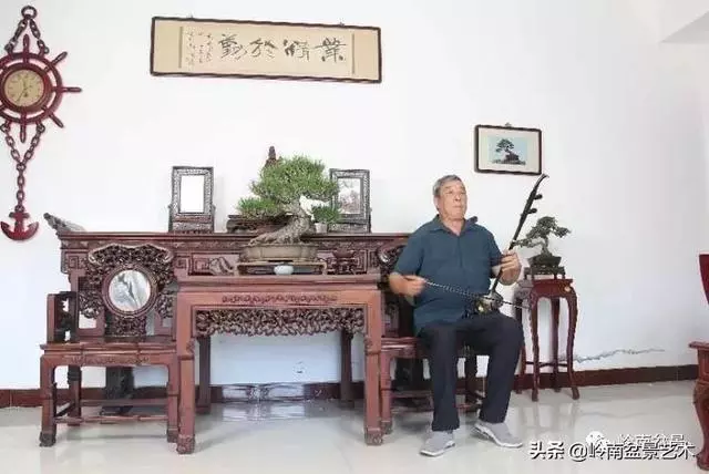 真牛!盆景大師把鄉野最平常的雜木玩到極致!