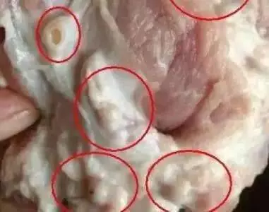 十年雞頭如砒霜?醫生建議:這8種肉最好別吃