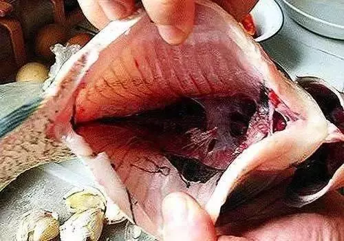 十年雞頭如砒霜?醫生建議:這8種肉最好別吃