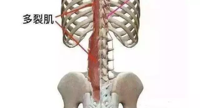 正在毀掉你背部的 4 個錯誤生活習慣