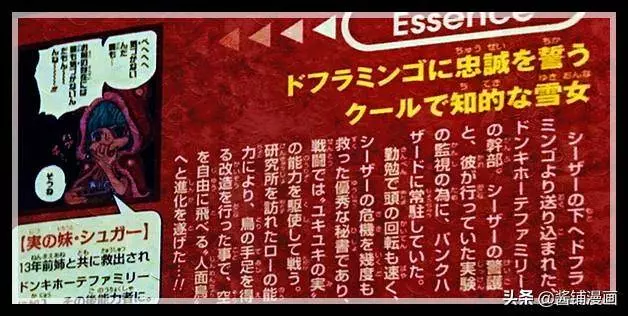 海賊王官方情報:尾田公布莫奈身世,身體已改造同時擁有稀有果實