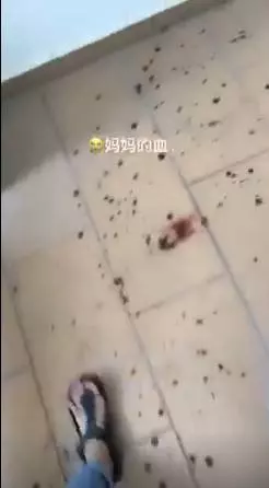 【無妄之災!】網友媽媽『出門倒垃圾』卻遭人鐵棍暴打! 滿屋子都是血, 斷了手筋 & 手骨…