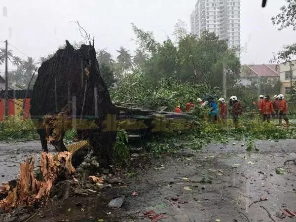 暴風雨襲甘榜峇魯 多處樹倒幸無人傷