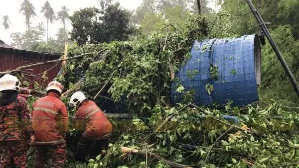 暴風雨襲甘榜峇魯 多處樹倒幸無人傷