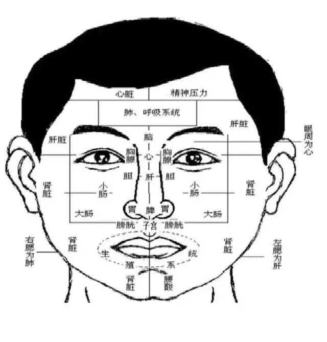 身體好不好,看臉就知道~(附私藏完整面診口訣)