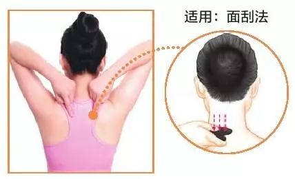 《感冒》 是由病毒引起的上呼吸道感染疾病,以冬、春季節常見!