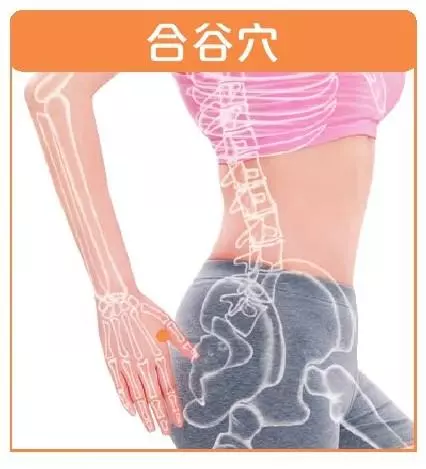 《感冒》 是由病毒引起的上呼吸道感染疾病,以冬、春季節常見!