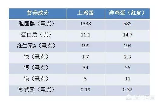 患膽囊炎的人能吃雞蛋嗎?醫生不建議吃蛋黃