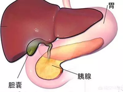 患膽囊炎的人能吃雞蛋嗎?醫生不建議吃蛋黃