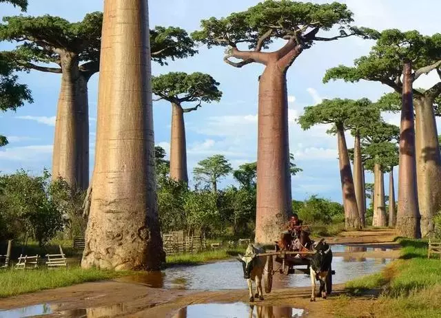 20個夢幻如童話世界的旅行地,你最想去哪裡?