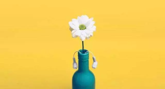 命理測試:六朵花中選一朵,立馬看穿你的事業、婚姻和人生!