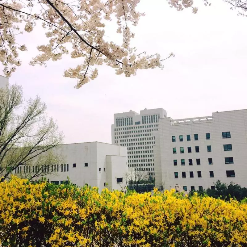 悲劇!7旬變態翁蹂躪8歲親孫女 冷血嬤袖手旁觀:誰叫妳不穿衣服