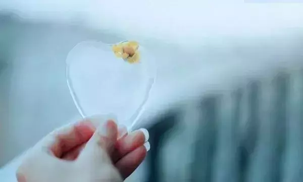 不要去打擾,一個心裡沒你的人,怎麼努力,也感動不了他半分