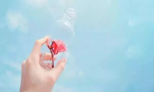 不要去打擾,一個心裡沒你的人,怎麼努力,也感動不了他半分