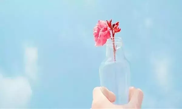 不要去打擾,一個心裡沒你的人,怎麼努力,也感動不了他半分