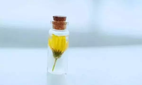 不要去打擾,一個心裡沒你的人,怎麼努力,也感動不了他半分