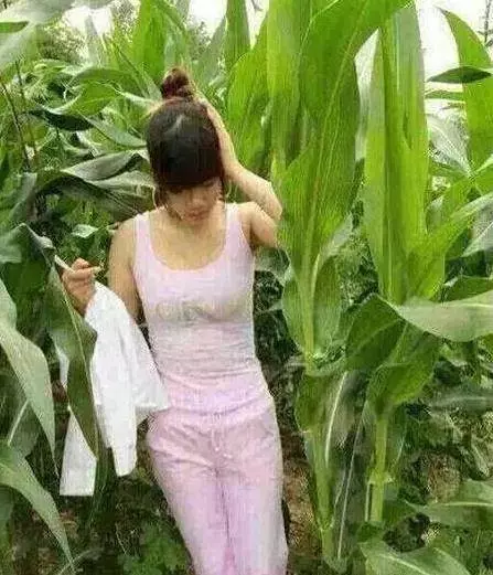 10張史上最爆笑圖:「水姑娘」你去玉米地裡做什麼?看到倒數第二張我笑到沒力氣!