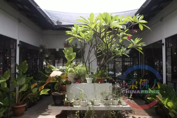 【抵食午餐攻略】綠油油中吃Cheap套餐 再嘆一杯半價咖啡