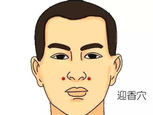 頭部的重要穴位經常按摩讓你神清氣爽