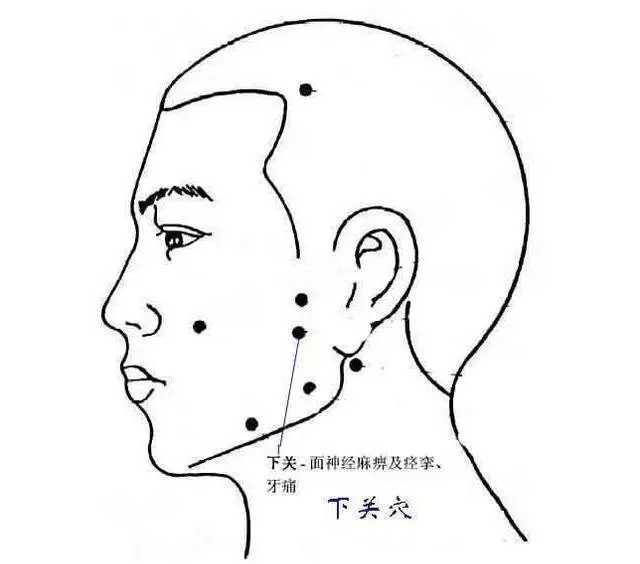 頭部的重要穴位經常按摩讓你神清氣爽