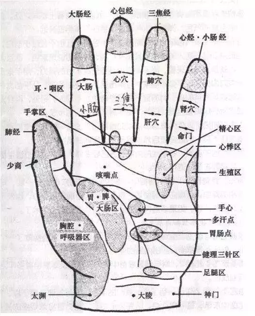 每天按摩小拇指50次,堅持一段時間,腰不疼、腿不酸了,連頭髮也烏黑了,不用去染髮