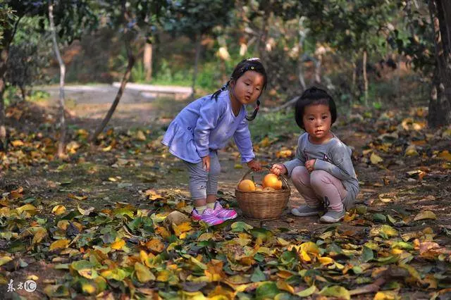 重男輕女爸媽撿了兒子養,現在卻自食惡果,我的生活會不會被打擾