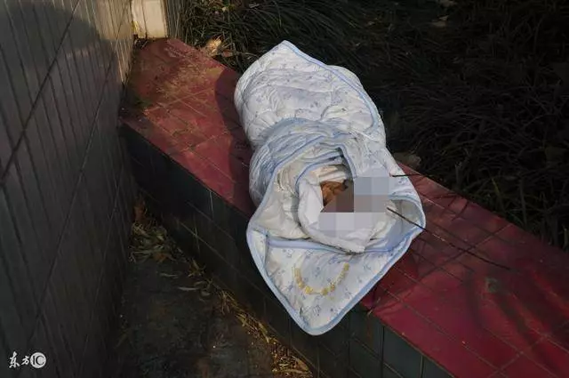 重男輕女爸媽撿了兒子養,現在卻自食惡果,我的生活會不會被打擾