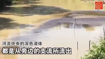 馬來西亞水源致癌!新加坡自來水不能喝了