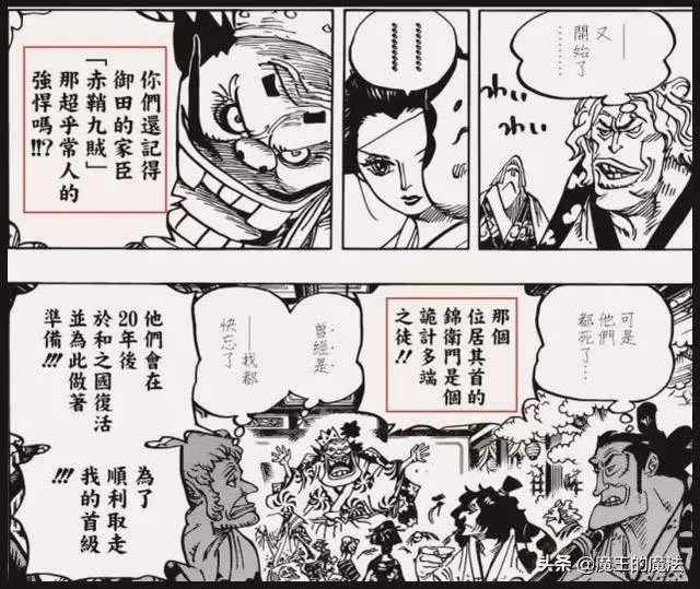 海賊王生命卡情報:錦衛門惡魔果實名稱曝光,名稱很搞笑