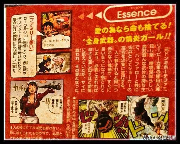海賊王官方情報:尾田公布明哥的女僕身世,如今成了路飛旗下成員