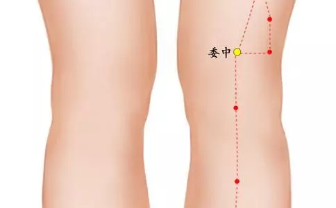 委中穴,治療腰背疾病的要穴