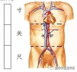 中醫把脈手把手教附心法口訣,最全動圖展示一目了然,建議收藏