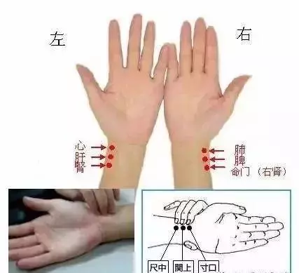 中醫把脈手把手教附心法口訣,最全動圖展示一目了然,建議收藏