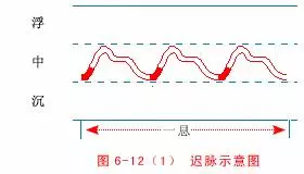 中醫把脈手把手教附心法口訣,最全動圖展示一目了然,建議收藏
