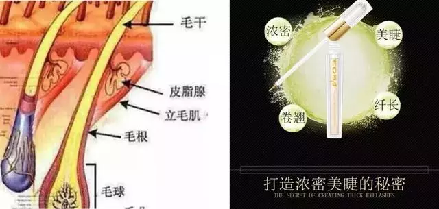 眼睛好看很重要,像紫霞仙子眨一眨眼睛就能讓人為之淪陷~