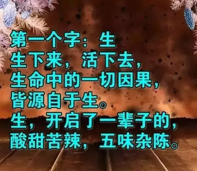 人這一輩子,生不帶來死不帶去的一輩子
