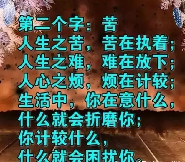 人這一輩子,生不帶來死不帶去的一輩子