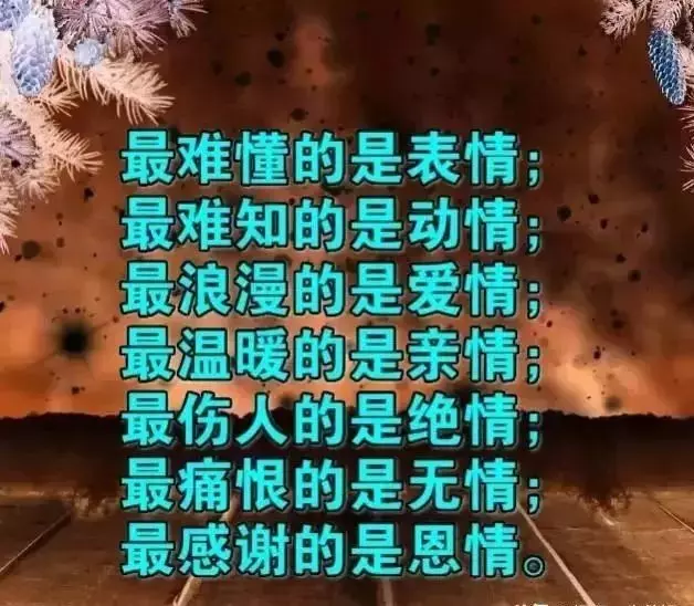 人這一輩子,生不帶來死不帶去的一輩子