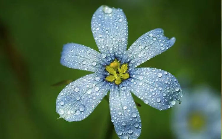 4月7號起喜事連連,財神保佑日進斗金,大富大貴的5大生肖!