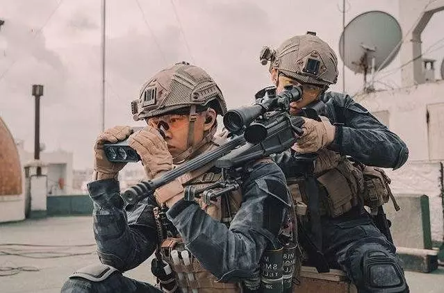 中國艦艇撤僑行動,為何武裝分子不敢靠近?這一行話很霸氣